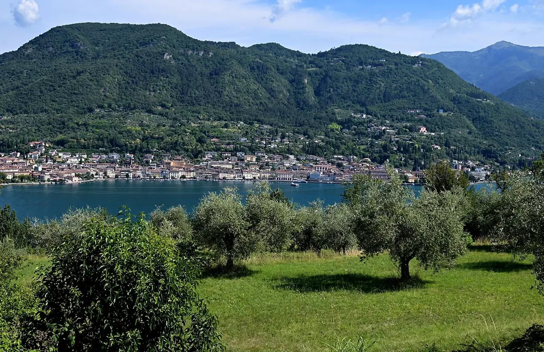 Agriturismo la Scala-1